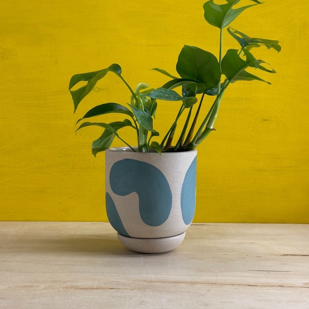 Base Ceramics Planters at Greenpoint Plant Shop | Tend Greenpoint