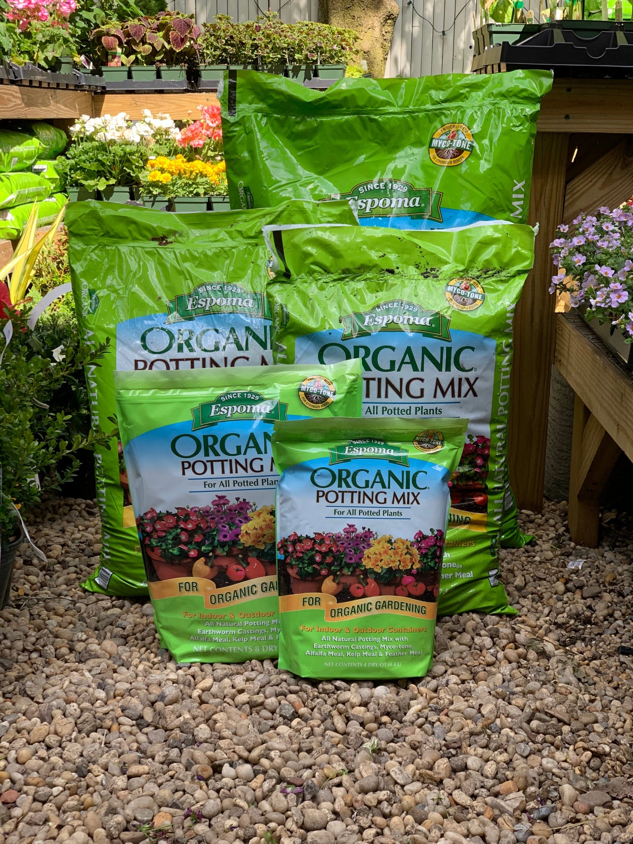 Potting Mix at Greenpoint Plant Shop | TEND GREENPOINT | Tend Greenpoint