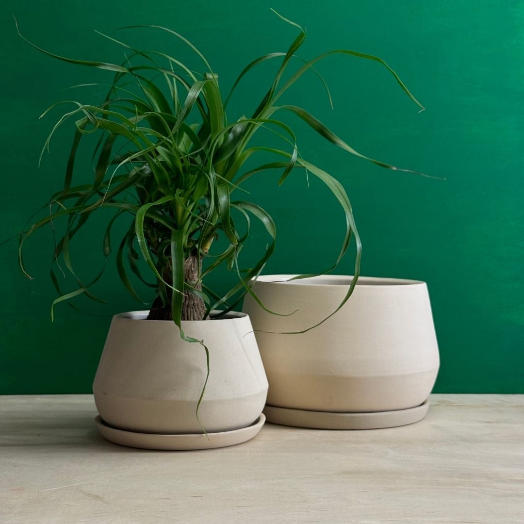 Rancho Planter w/ Saucer - Thumbnail 3