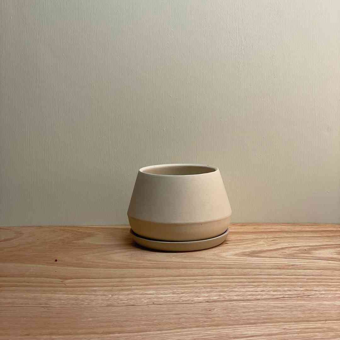 Rancho Planter w/ Saucer - Thumbnail 5