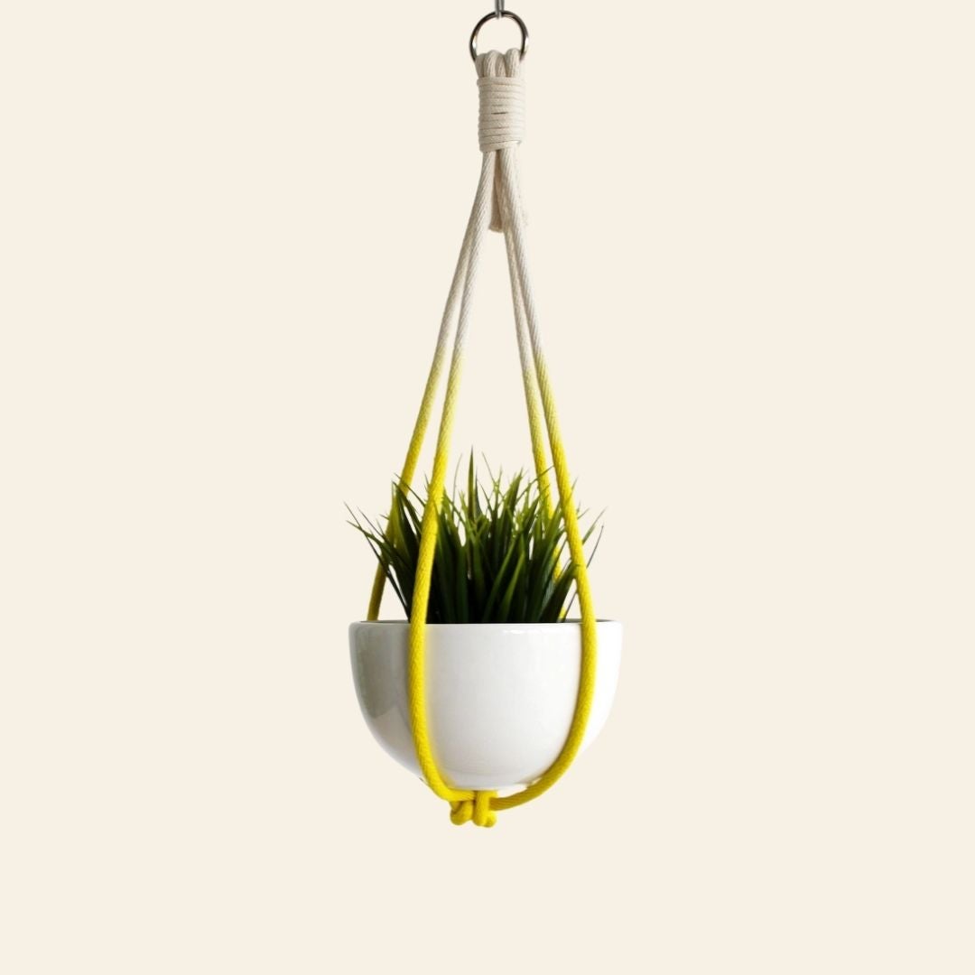 Hanging Planters | Handmade Ceramic & Modern Styles | Tend Greenpoint