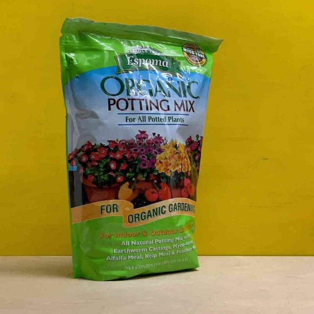 Potting Mix at Greenpoint Plant Shop | TEND GREENPOINT | Tend Greenpoint
