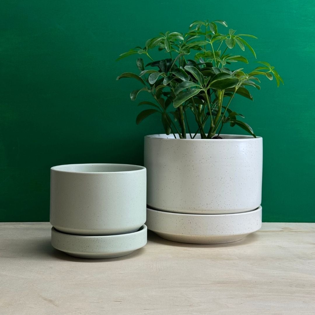Modern Ceramic Planters | Round Plant Pots with Saucer | Tend
