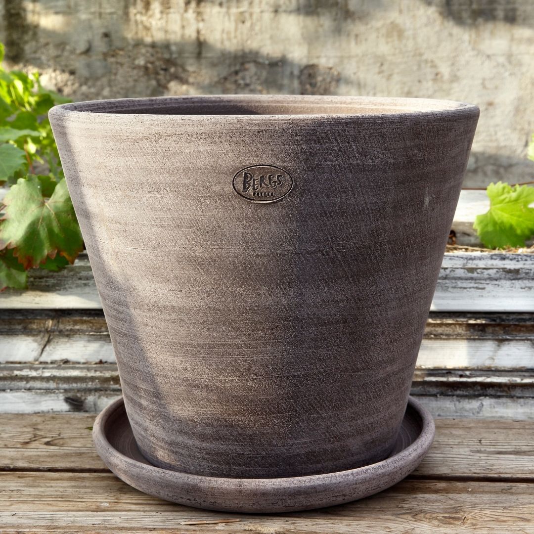 Bergs Potter at Greenpoint Plant Shop | Tend Greenpoint
