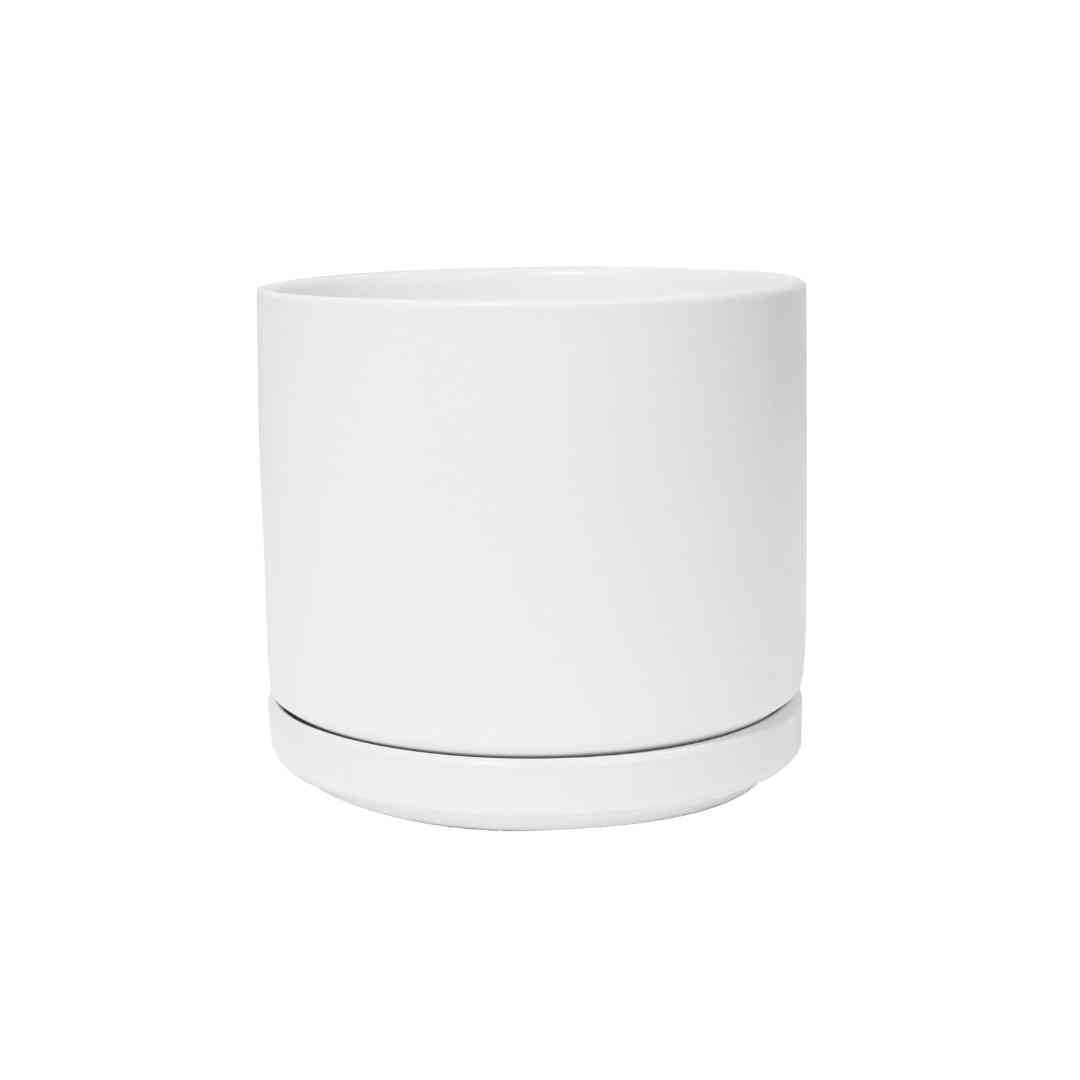 Solid Goods Cylinder with Saucer Planter at Greenpoint Plant Shop | Tend  Greenpoint