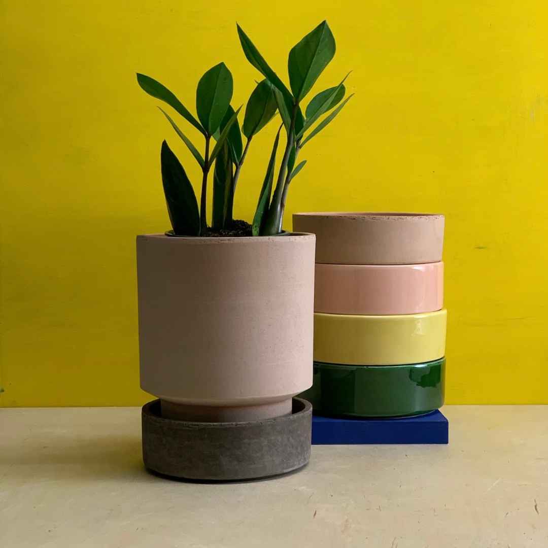 Bergs Potter at Greenpoint Plant Shop | Tend Greenpoint