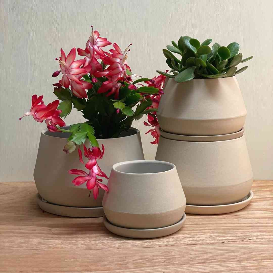 Rancho Planter w/ Saucer - Thumbnail 2