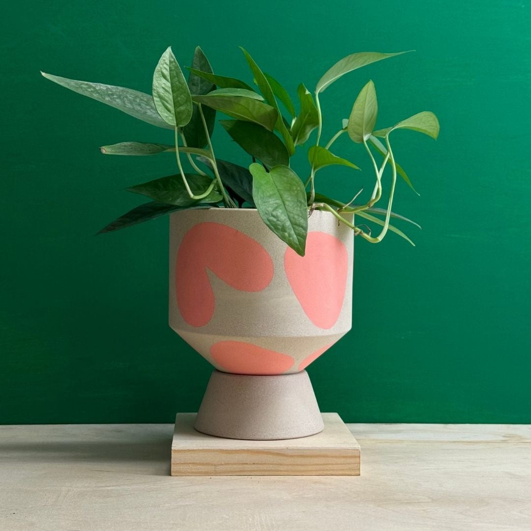 Base Ceramics Planters at Greenpoint Plant Shop | Tend Greenpoint