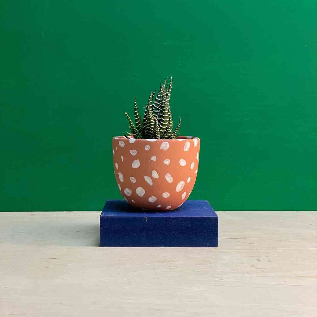 Franca Terracotta Speckled Planter